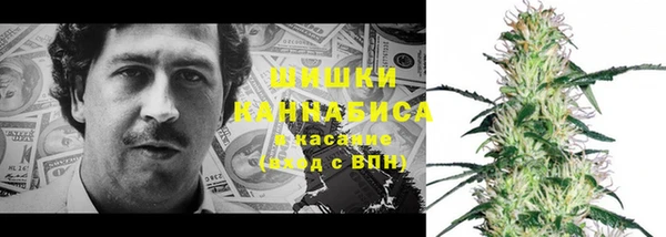 дживик Елизово