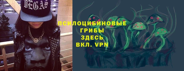 дживик Елизово