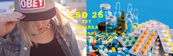 герыч Ельня