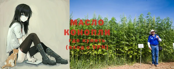 МДПВ Елабуга