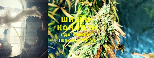 дживик Елизово