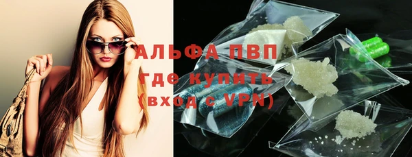 шишки Заволжск