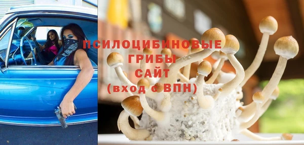стафф Заволжье