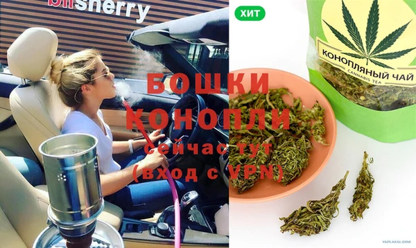 дживик Елизово