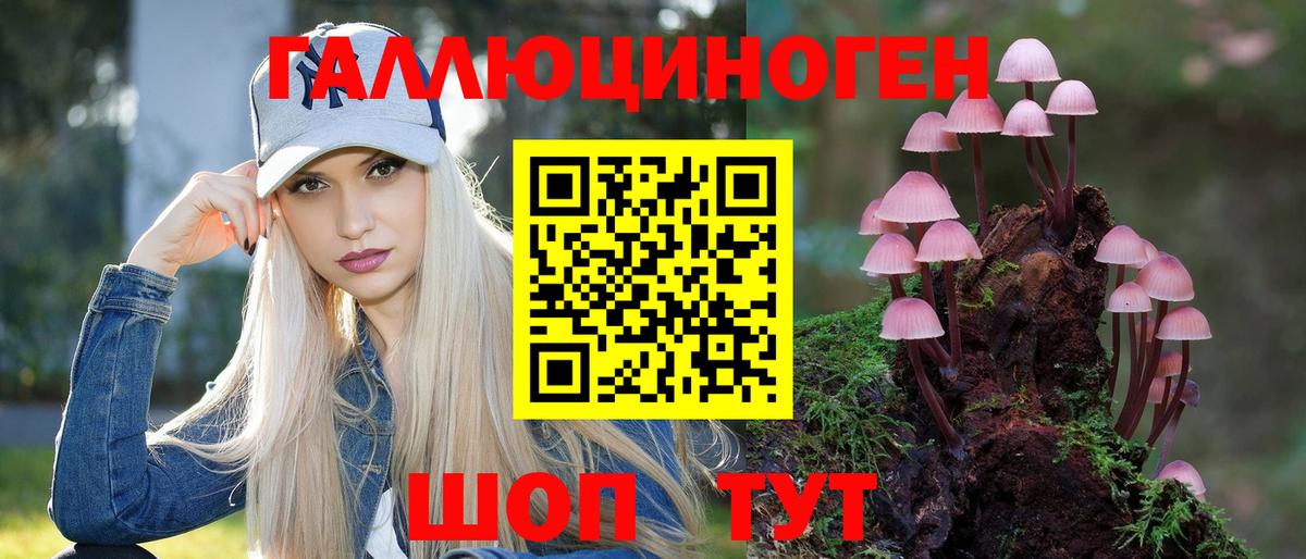Ижевск  Галлюциногенные грибы GOLDEN TEACHER  Галлюциногенные грибы мицелий  Вход с VPN 